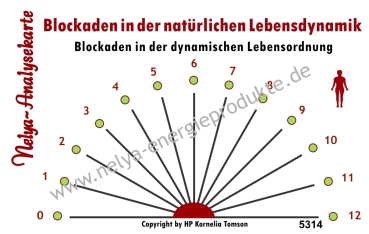 Nelya-Analysekarte - Pendelkarte - Blockaden in der natürlichen Lebensdynamik #5314