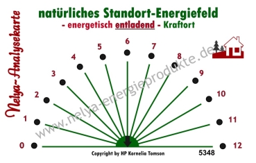Nelya-Analysekarte - Pendelkarte - Standortanalyse - Standort-Energiefeld entladend #5348