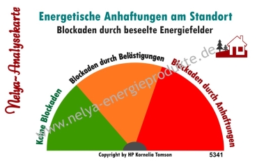 Nelya-Analysekarte - Pendelkarte - Standortanalyse - Blockaden durch beseelte Energiefelder #5341