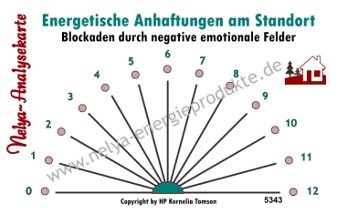 Nelya-Analysekarte - Pendelkarte - Standortanalyse - Blockaden durch negative emotionale Felder #5343