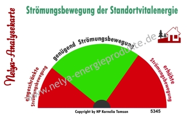 Nelya-Analysekarte  - Pendelkarte - Standortanalyse - Strömungsbewegung der Standortvitalenergie #5345