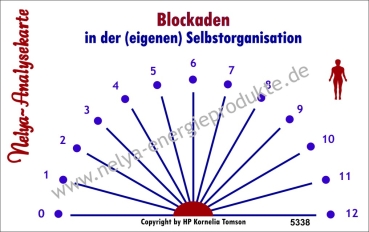 Nelya-Analysekarte - Pendelkarte - Blockaden in der (eigenen) Selbstorganisation #5338