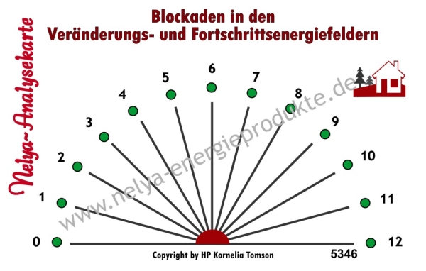 Nelya-Analysekarte - Pendelkarte - Standortanalyse - Blockaden in den Veränderungs- u. Fortschrittsenergiefeldern #5346